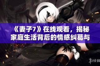 《妻子7》在线观看，揭秘家庭生活背后的情感纠葛与纷争