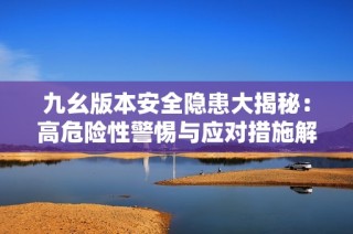 九幺版本安全隐患大揭秘：高危险性警惕与应对措施解析