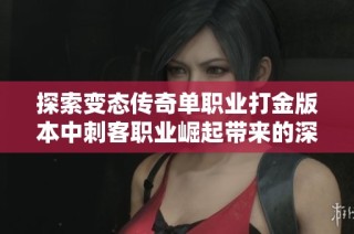 探索变态传奇单职业打金版本中刺客职业崛起带来的深远影响
