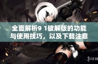 全面解析9 1破解版的功能与使用技巧，以及下载注意事项