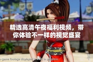 精选高清午夜福利视频，带你体验不一样的视觉盛宴