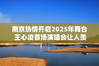 南京热情开启2025年舞台 王心凌首场演唱会让人羡慕不已！