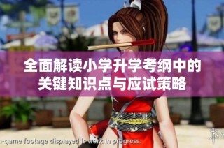 全面解读小学升学考纲中的关键知识点与应试策略