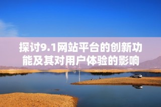 探讨9.1网站平台的创新功能及其对用户体验的影响