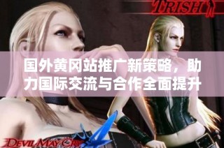 国外黄冈站推广新策略，助力国际交流与合作全面提升