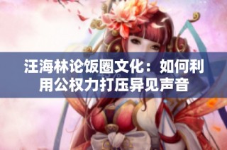 汪海林论饭圈文化：如何利用公权力打压异见声音