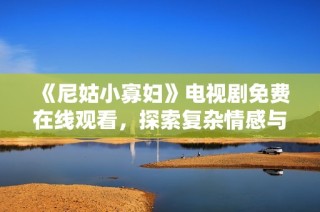 《尼姑小寡妇》电视剧免费在线观看，探索复杂情感与人性挣扎的故事魅力