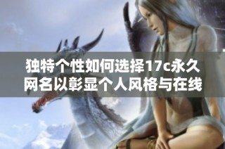 独特个性如何选择17c永久网名以彰显个人风格与在线身份