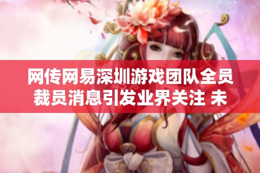 网传网易深圳游戏团队全员裁员消息引发业界关注 未来发展面临挑战