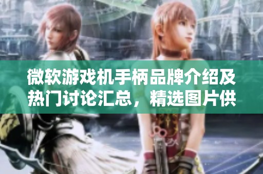 微软游戏机手柄品牌介绍及热门讨论汇总，精选图片供您参考