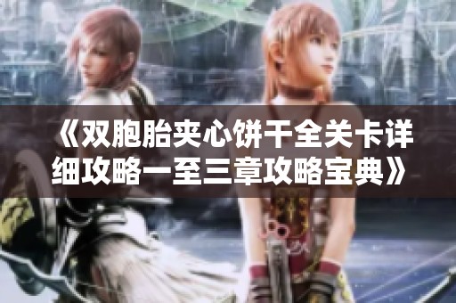 《双胞胎夹心饼干全关卡详细攻略一至三章攻略宝典》