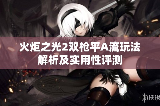 火炬之光2双枪平A流玩法解析及实用性评测