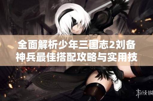 全面解析少年三国志2刘备神兵最佳搭配攻略与实用技巧