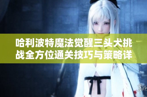 哈利波特魔法觉醒三头犬挑战全方位通关技巧与策略详解