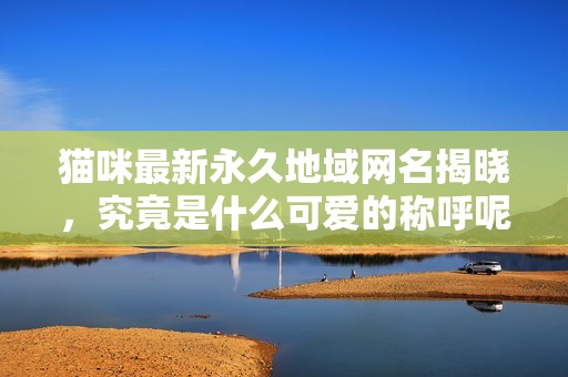 猫咪最新永久地域网名揭晓，究竟是什么可爱的称呼呢