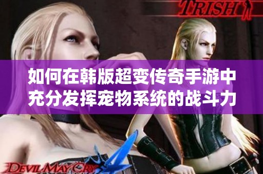如何在韩版超变传奇手游中充分发挥宠物系统的战斗力潜力