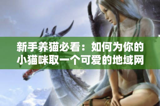 新手养猫必看：如何为你的小猫咪取一个可爱的地域网名