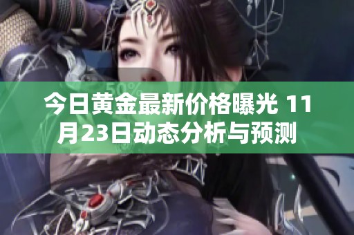 今日黄金最新价格曝光 11月23日动态分析与预测