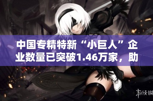 中国专精特新“小巨人”企业数量已突破1.46万家，助力经济发展新动力