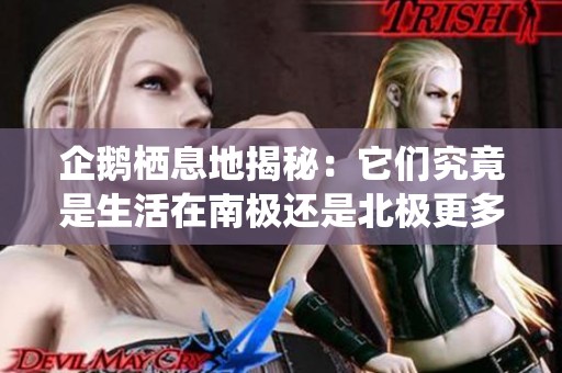 企鹅栖息地揭秘：它们究竟是生活在南极还是北极更多呢