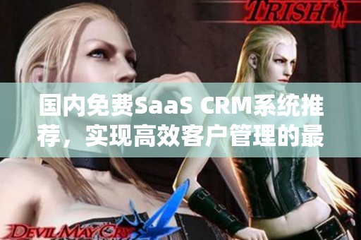 国内免费SaaS CRM系统推荐，实现高效客户管理的最佳选择