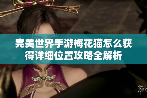 完美世界手游梅花猫怎么获得详细位置攻略全解析