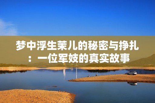 梦中浮生茉儿的秘密与挣扎：一位军妓的真实故事