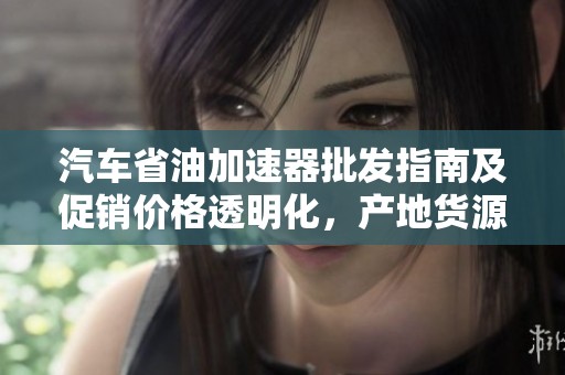汽车省油加速器批发指南及促销价格透明化，产地货源全解析