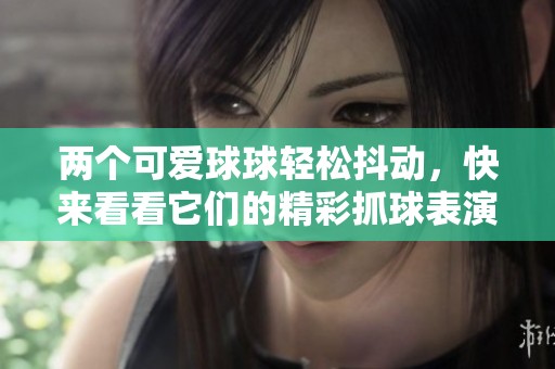 两个可爱球球轻松抖动，快来看看它们的精彩抓球表演！