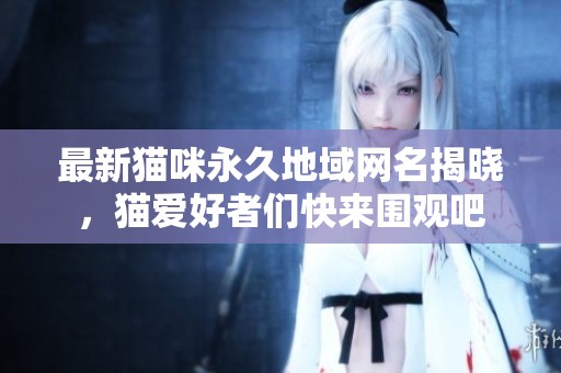 最新猫咪永久地域网名揭晓，猫爱好者们快来围观吧