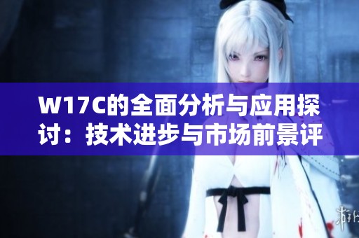 W17C的全面分析与应用探讨：技术进步与市场前景评估