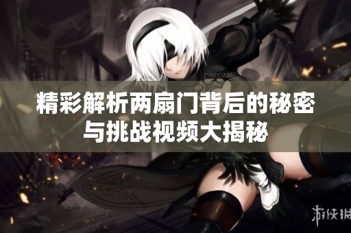 精彩解析两扇门背后的秘密与挑战视频大揭秘